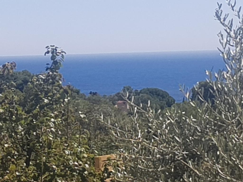 Hostal Ondina Begur Εξωτερικό φωτογραφία